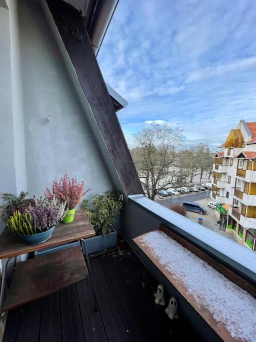 Apartament Przy Parku Z Bezplatnym Parkingiem Torun Luaran gambar